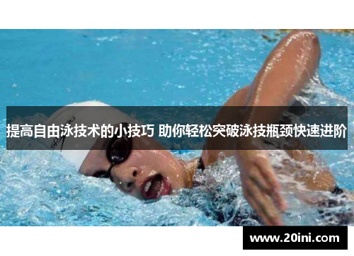 提高自由泳技术的小技巧 助你轻松突破泳技瓶颈快速进阶